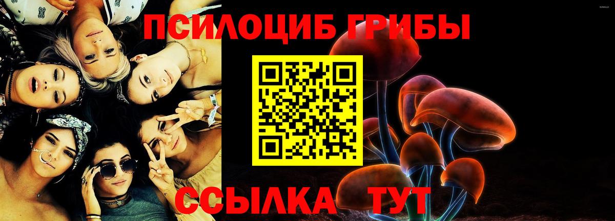 Галлюциногенные грибы мицелий  Вход с VPN  Электросталь  Галлюциногенные грибы Cubensis 